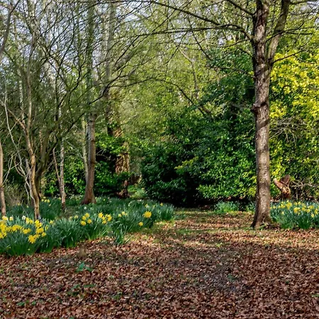 Сasa de vacaciones 1 Bed In Northallerton Oc-82336