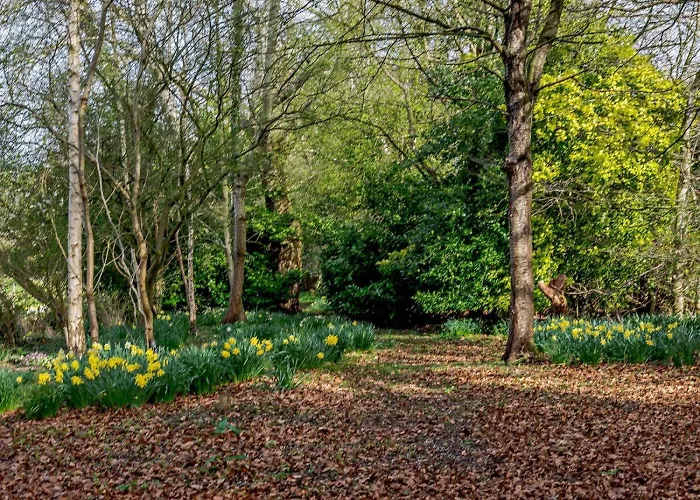 Сasa de vacaciones 1 Bed In Northallerton Oc-82336